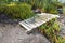 wooden bridge cross rock in forest