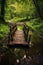 wooden bridge crossing a peaceful stream