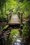 wooden bridge crossing a peaceful stream