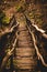 a wooden bridge crossing through the woods in the evening with sunlight flares from below