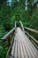 Wooden bridge in dense forest over Ahja river