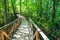 Wooden Bridge Disappearing Into The Depths of Forest. Hiking Trail in Forest. Forest Walking Path