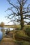 Wooden bridge in English landscape garden