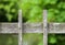 Wooden Bridge Fence Plank Covered in Lichen and Moss