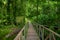 Wooden bridge footpath inside the amazon rainforest in Limoncocha National Park in Ecuador