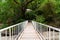 Wooden bridge in forest