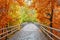 Wooden bridge in the forest, autumnal colored trees and shrubs