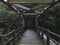 Wooden bridge in a forest of Jeju island. South Korea