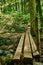 Wooden bridge in the forest logs outdoor nobody day