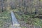 Wooden bridge in the forest and park