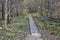 Wooden bridge in the forest and park