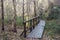 Wooden bridge in the forest and park