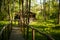 Wooden bridge in the forest to the farmhouse.