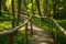 Wooden bridge in the forest to the farmhouse.