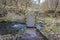 Wooden bridge forming part of a public trail through a woodland forrest crossing a stream