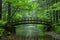 Wooden bridge gracefully arching over a tranquil stream in a dense, green forest. AI generated.