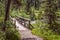 A wooden bridge on the hike to Lake Annette in Banff National Park