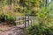 Wooden Bridge on Hiking Trail in Temperate Rain Forest in Early