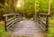 Wooden bridge inthe forest at the sunset
