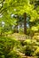 Wooden bridge, Japanese Garden, Portland, Oregon