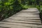 Wooden bridge in jungle, wooden walkway in forest landscape