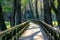 Wooden bridge lanscape