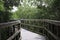 Wooden bridge lead to jungle. Wooden Trails. Boardwalk. A dock over the water at Indian Rocks Beach Nature Preserve in Largo, Flor