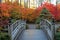 Wooden Bridge Leading to Red and Gold Autumn Trees