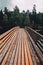 Wooden bridge leading towards a green forest