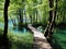 Wooden bridge is located in serene, picturesque setting. It spans over small body of water surrounded by trees and lush