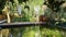 A wooden bridge A macrame decoration for a photoshoot behind a lake of a garden iran