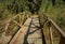 Wooden Bridge at Madrona Marsh Nature Preserve, Torrance, Los Angeles County, California