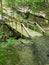 Wooden bridge in the middle of the forest of Metroparks in Cleveland,Ohio 