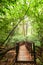 Wooden bridge at misty tropical rain forest. Doi Inthanon Park, Thailand