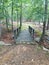 Wooden bridge over a creek or open area of land in a woods or forest