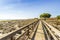 Wooden bridge over dunes of Ria Formosa Natural Reserve in Olhao, Algarve, Portugal