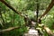 Wooden bridge over Erma River