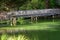 Wooden bridge over green murky pond