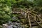 Wooden bridge over the Mladejka river in the Strandja national p