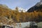 Wooden bridge over mountain stream