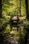 wooden bridge over a peaceful stream in the woods