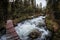 A wooden bridge over a rapid mountain stream in Taiga boreal forest