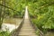 Wooden bridge over a river