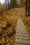 A wooden bridge over a stream leading deep into an autumn park with fallen yellow leaves