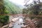 A wooden bridge over a stream in Sapa, Vietnam