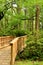 Wooden Bridge Pathway Into The Woods Portrait