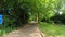 Wooden bridge, picturesque nature, amazing walking under the trees