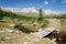 Wooden Bridge at the San Pellegrino Pass