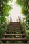 Wooden bridge stairs in the forest
