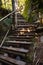 Wooden bridge with steps on the eco-trail along the rocks and mountain river in Bulgaria, Smolyan city.